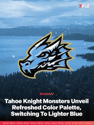 Image post by @flohockey on Instagram