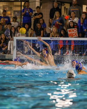 Image post by @sagehenathletics on Instagram