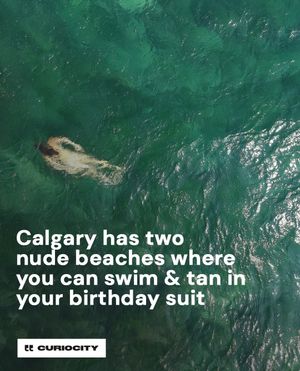 Image post by @curiocitycalgary on Instagram