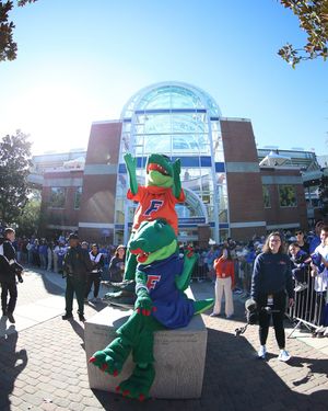 Image post by @albertathegator on Instagram