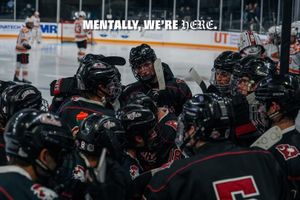 Video post by @cockhockey on TikTok