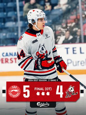 Image post by @ohlicedogs on Instagram