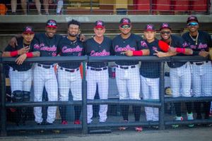 Image post by @carolinamudcats on Instagram