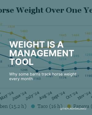 Image post by @theplaidhorsemag on Instagram