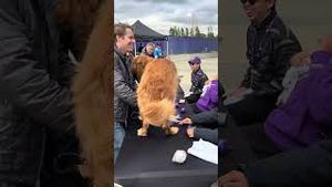 Video post by @uw_athletics on YouTube