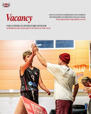 Image post by @solent_kestrels on Instagram