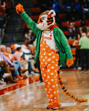 Image post by @thetiger_cu on Instagram