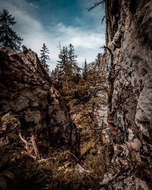 Image post by @cristan.nature.photography on Instagram