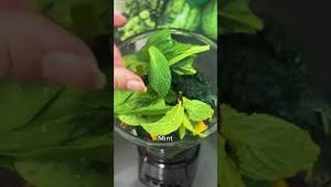 Video post by @vspvisioncare on YouTube