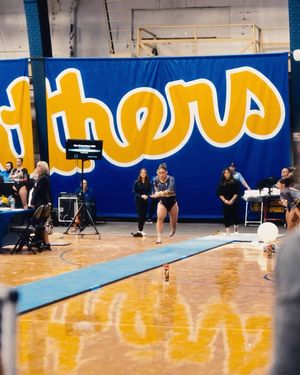 Image post by @wvugymnastics on Instagram