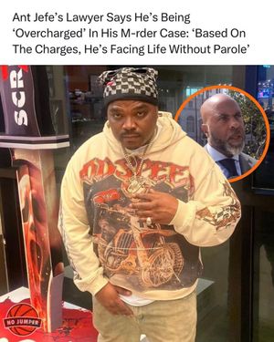 Image post by @nojumper on Instagram