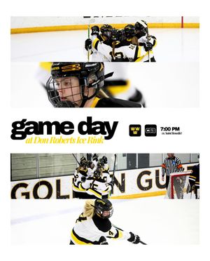 Image post by @gustiewhockey on Instagram