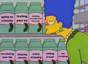 Image post by @uofscchicks on Twitter