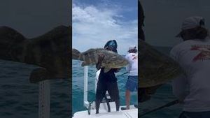 Video post by @hoodfishingentertainment on YouTube