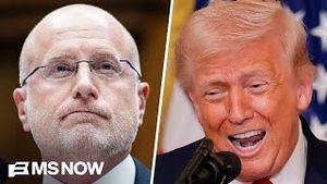 Video post by @msnbc on YouTube