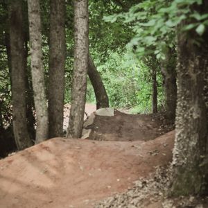 Image post by @blackdiamond_traildesigns on Instagram