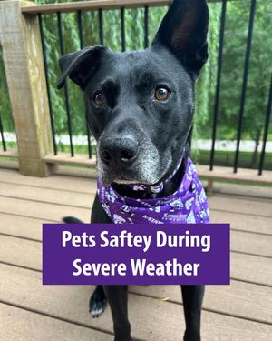 Image post by @KState on Facebook