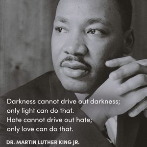 Image post by @noahsarcfdn on Instagram