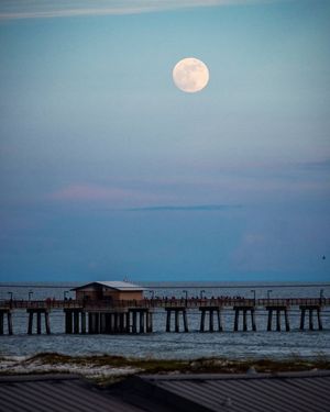 Image post by @michael_edson on Instagram