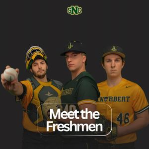 Image post by @stnorbertbaseball on Instagram