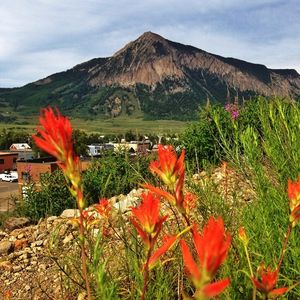 Image post by @skicrestedbutte on Instagram