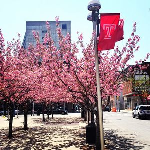 Image post by @templewrowing on Instagram