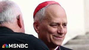 Video post by @msnbc on YouTube
