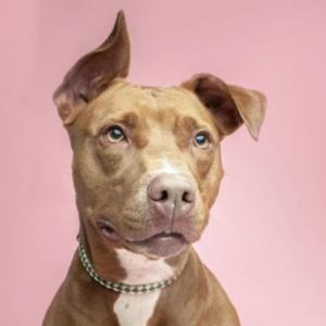 Image post by @sjmagmedia on Instagram