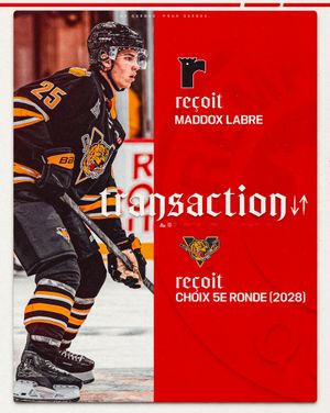 Image post by @quebec_remparts on Instagram
