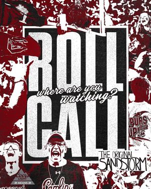 Image post by @gamecocksonline on Instagram