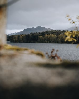 Image post by @danigoinhamm on Instagram