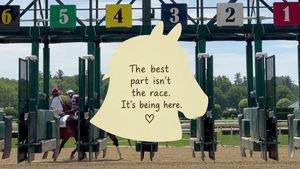 Image post by @saratogadotcom on Instagram