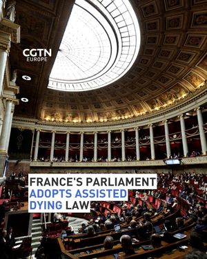 Image post by @cgtneurope on Instagram