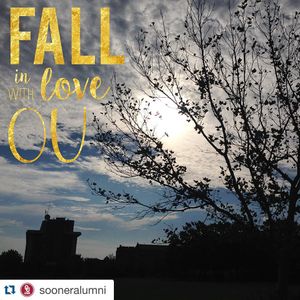 Image post by @ou_wgymnastics on Instagram