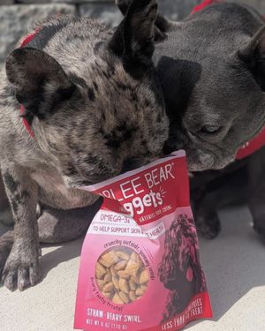 Image post by @charlee_bear_dogtreats on Instagram
