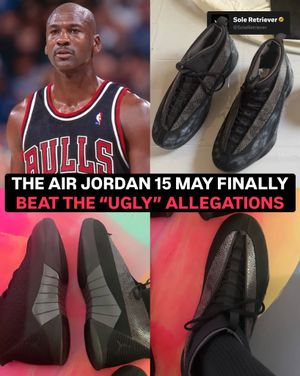 Image post by @soleretriever on Instagram