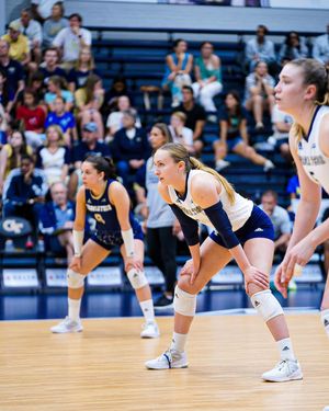 Image post by @visualsbydaigre on Instagram