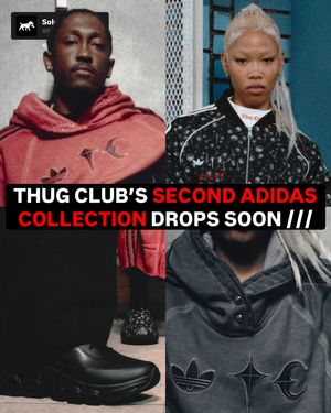 Image post by @soleretriever on Instagram