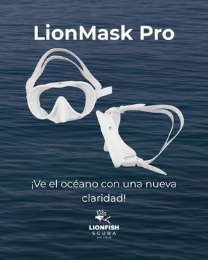 Image post by @lionfishscuba on Instagram