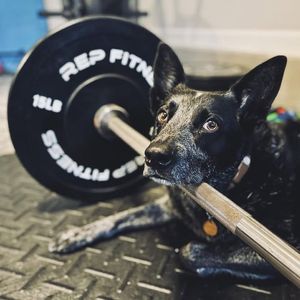 Image post by @repfitness on Facebook