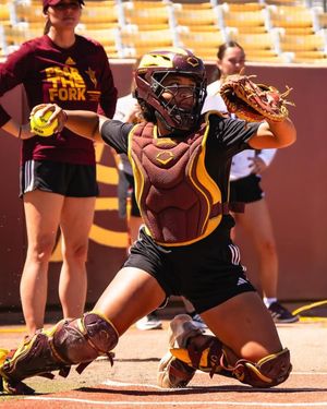 Image post by @evoshield on Instagram