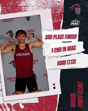 Image post by @arcadia_knights on Instagram