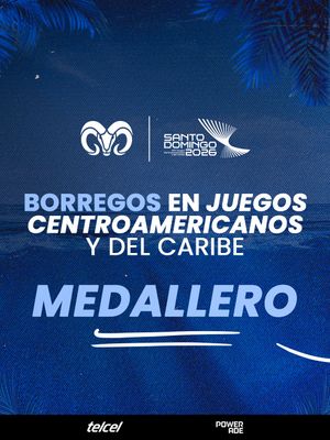 Image post by @borregostec on Instagram