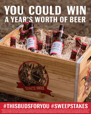 Image post by @budweiserusa on Twitter