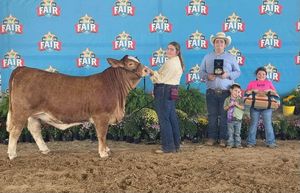 Image post by @fayettecofairtx on Instagram