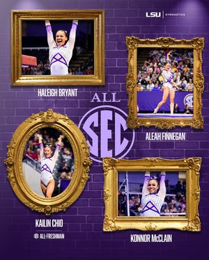 Image post by @lsugym on Instagram