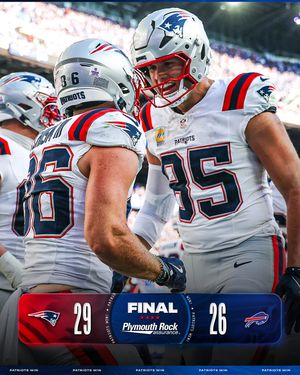 Image post by @patriots on Instagram