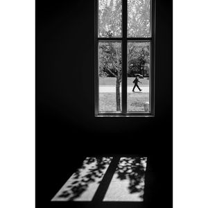 Image post by @leica_camera on Instagram