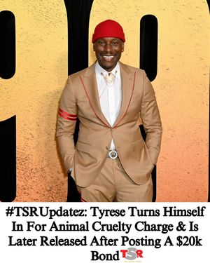 Image post by @theshaderoom on Instagram