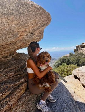 Image post by @sigmakappa_az on Instagram